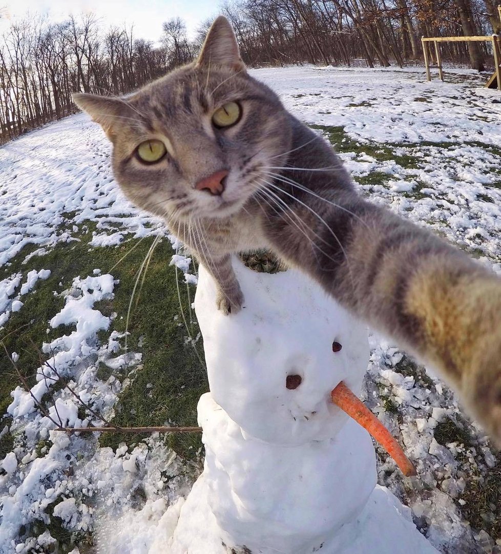 Kočka Manny si ráda fotí selfie.