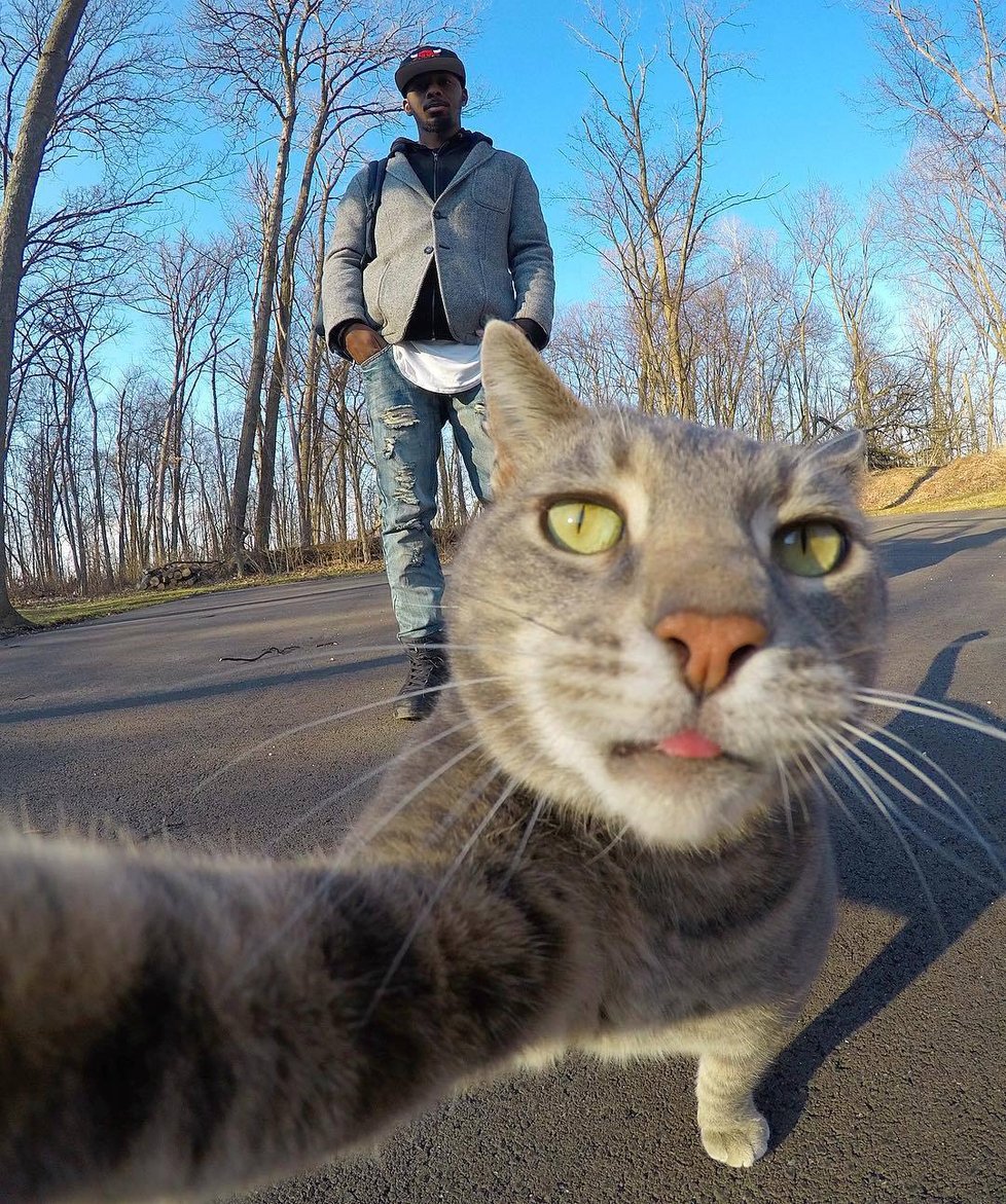 Kočka Manny si ráda fotí selfie.