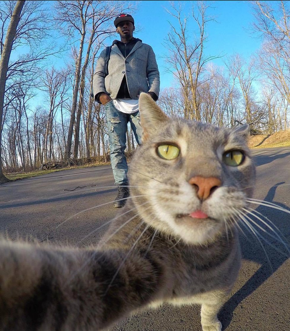 Kočka Manny si ráda fotí selfie.