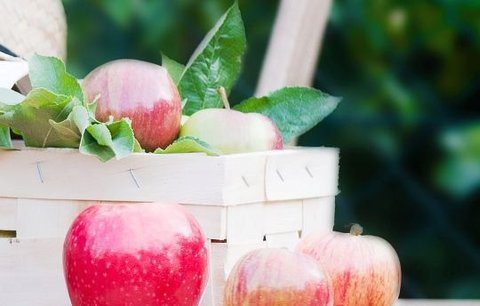 Jablko je skrytý poklad, který naleznete na každé zahradě!