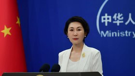 Mluvčí čínského ministerstva zahraničí Mao Ning (9. 10. 2026)