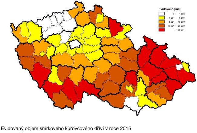 Nejvíce řádil kůrovec na západě a jihu Čech,na Vysočině, Moravě a ve Slezsku.