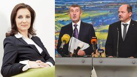 Svatava Maradová, Andrej Babiš a Jiří Milek