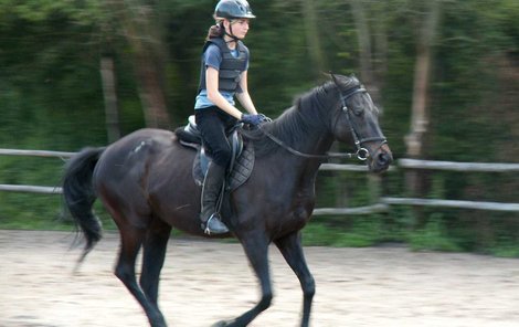 Nevidomý Maragád musí svým jezdcům plně důvěřovat. Jezdí na něm proto hlavně ti zkušenější, i když často mladého věku...