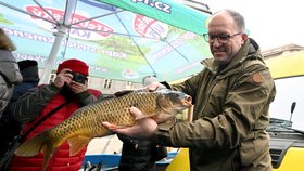 Ministr zemědělství Marek Výborný (KDU-ČSL) s kaprem (21.12.2023)