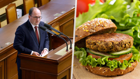 Ministr Marek Výborný (KDU-ČSL) chce přejmenovat vegeburgre.