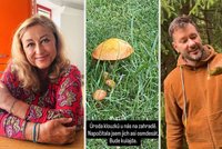 VIP houbaři na lovu: Ztracený hlásí invazi hřibů! Pawlowská sklízí na zahradě