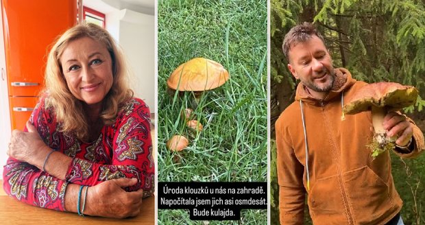 VIP houbaři na lovu: Ztracený hlásí invazi hřibů! Pawlowská sklízí na zahradě
