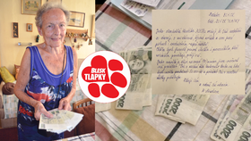 Zcestovalá seniorka se vzdala dovolené. Ušetřené peníze darovala útulkům a záchranným spolkům pro opuštěná a týraná zvířata