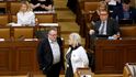 Exposlankyně Margita Balaštíková (ANO) Exposlankyně Margita Balaštíková (ANO)