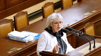 Policie obvinila bývalou poslankyni Balaštíkovou. Měla ovlivňovat hygieniky, aby zaklekli na firmu exmanžela Policie obvinila bývalou poslankyni Balaštíkovou. Měla ovlivňovat hygieniky, aby zaklekli na firmu exmanžela