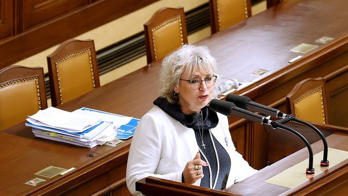 Exposlankyně Margita Balaštíková (ANO) Exposlankyně Margita Balaštíková (ANO)