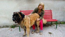 Fábí byla v rodině Křepelkových skoro deset let