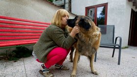 Fábí byla v rodině Křepelkových skoro deset let