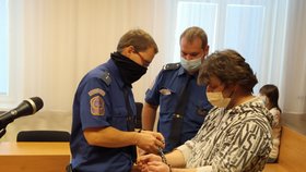 Roman Mariančík (51) se dohodl se žalobcem Krajského soudu v Ostravě na výši trestu. Za vyhrožování bombou obchodnímu řetězci dostal 3,5 roku vězení.