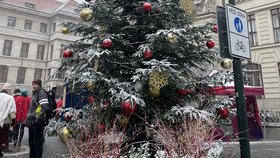 Vánoční trhy na Mariánském náměstí v Praze, 1. 12. 2023