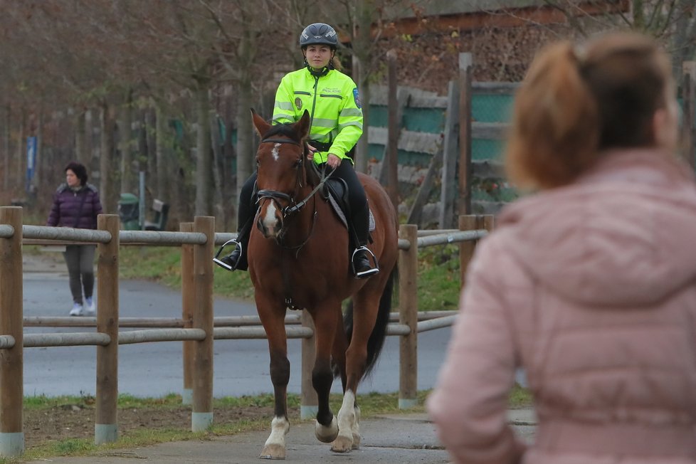 K městské policii Marii Bandasovou přivedla kromě jiného celoživotní láska ke koním.