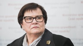 Ministryně spravedlnosti Marie Benešová (za ANO) a nejvyšší státní zástupce Pavel Zeman chtějí řešit přeplněnost věznic v Česku. Pomoci by mohlo například větší využívání peněžitých trestů nebo elektronických náramků.