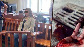 Původně vyvázla s podmínkou, nyní jí soud napařil 12 let. Marie Č. (22) nožem probodla hrudník přítele své sestřenice