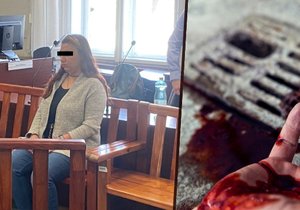Marie Č. u městského soudu v Praze čelí obvinění z vraždy, hrozí jí 12 až 20 let za mřížemi.