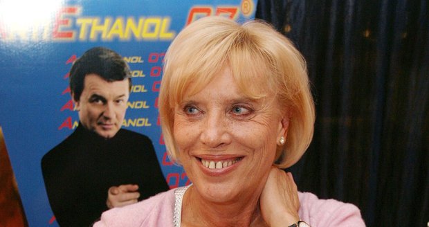 Režisérka Marie Poledňáková