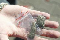 Za šest gramů marihuany do vězení