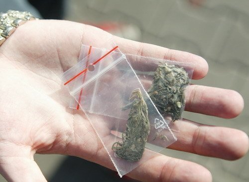 Za šest gramů marihuany do vězení | Blesk.cz