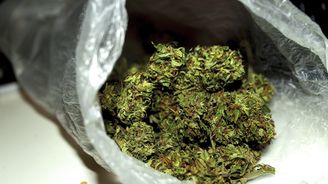 Pozor na novou marihuanu neznámého původu! Může být otrávená a pro uživatele znamenat smrt