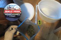 Policie dopadla dva dealery s marihuanou: Kšeftovali ve velkém na Praze 6