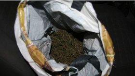 Tuto igelitku marihuany našla policejní hlídka v autě v Brně-Židenicích. Nikdo z pětičlenné posádky se k ní nehlásil.