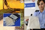 Policisté se pochlubili úlovkem: Na hranicích zadrželi přes kilo pervitinu, v Praze objevili rozsáhlou pěstírnu marihuany (vlevo)
