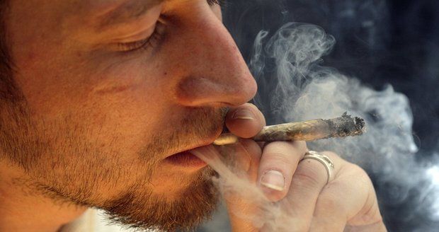 Na Olomoucku se objevila nebezpečná a velmi silná marihuana, jejíž vykouření by mohlo člověku způsobit bezvědomí