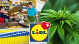 Lidl prodává marihuanu: V supermarketu lze koupit levnou i dražší trávu