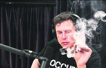 Hulič Musk pošle do vesmíru »trávu«