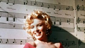 Marilyn Monroe byla ikona doby