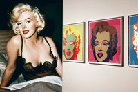 Rozkradli výstavu o Marilyn Monroe: Policie obvinila čtyři pachatele!