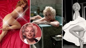 60 let od smrti Marilyn Monroe (†36): Slavné kočky, které ji ztvárnily na stříbrném plátně!