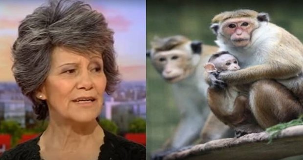 Neuvěřitelný příběh Mariny Chapmanové: Vychovaly ji opice, teď má rodinu i knížku     