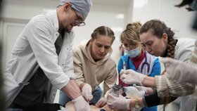 Medicals trying their best to save life of 1,5 years old boy Kirill who was wounded during shellinf of Mariupol / Zdravotníci v Mariupolu se snažili zachránit 1,5 roku starého Kirilla, který byl zraněn při ostřelování. Nepodařilo se (5.3.2022)