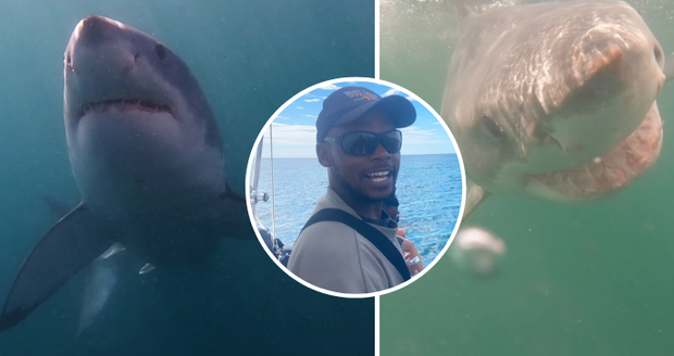 Potápěč natočil nebezpečně blízké setkání se žralokem: Málem přišel o hlavu!