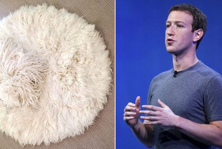 Dokážete najít psa zakladatele Facebooku? Zuckerberg má „neviditelného" mazlíčka