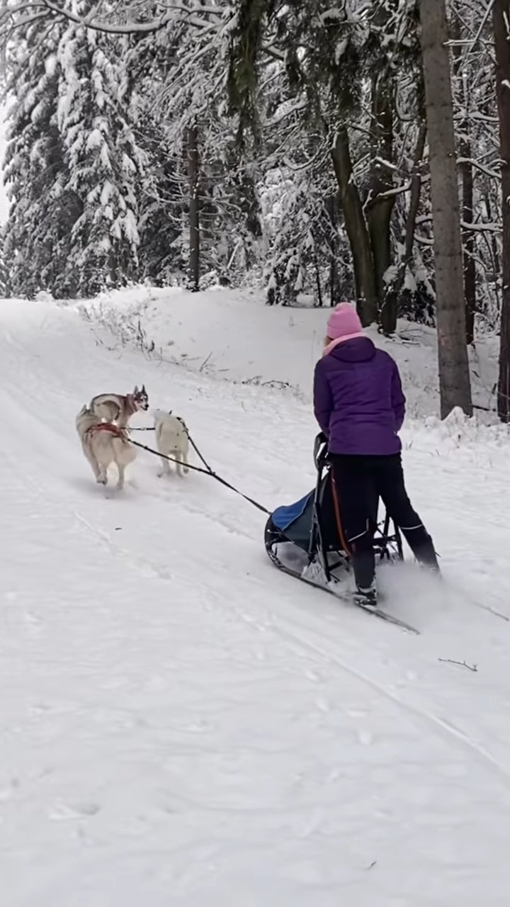 Markéta prosí o pomoc při hledání pejska Franka, který se ztratil v Krkonoších.