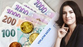 Česká národní banka intervenuje špatně, chystejme se na krizi, varuje ekonomka.