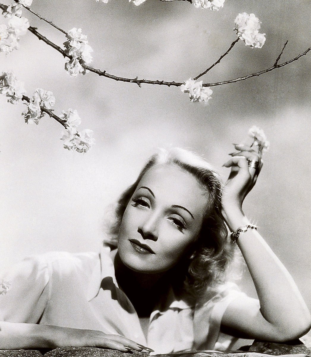 Marlene Dietrich okouzlovala mnoho mužů