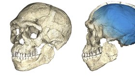 Vědci v Maroku našli fosilie člověka (Homo sapiens) staré 300 tisíc let.