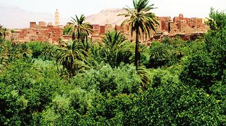 Marocké království, turistický klenot severní Afriky: Cesta do údolí Tisíce kaseb