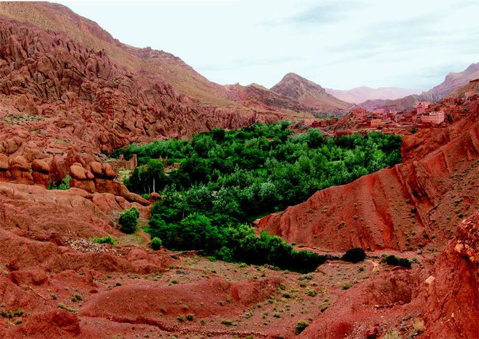 Marocké údolí Vádí al-Wurúd aneb Růže za branou pouště