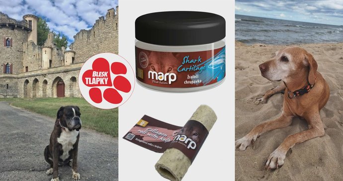 Krmivo Marp a doplňky stravy pro zdravý pohybový aparát domácích mazlíčků