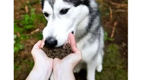 Granule Marp Holistic jsou bez obilovin a vhodné pro citlivé zažívání