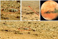 Šokující foto z rudé planety: Žijí na Marsu mimozemské ještěrky?